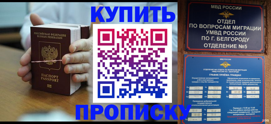 прописка для работы в Благовещенске